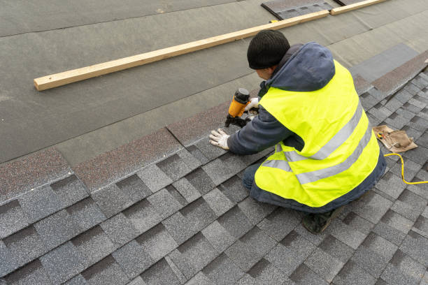 Best Roof Gutter Cleaning  in Everson, WA