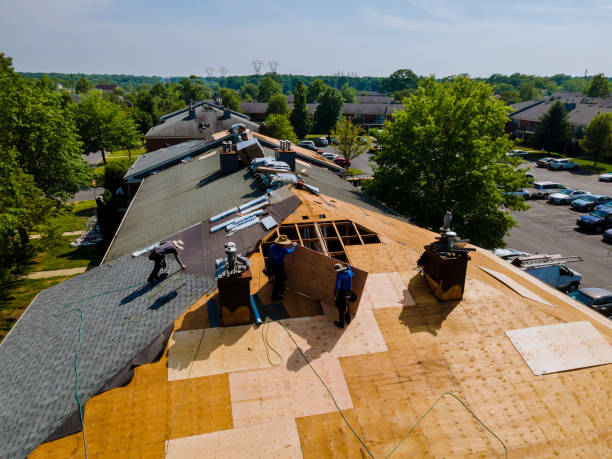 Quick and Trustworthy Emergency Roof Repair Services in Everson, WA
