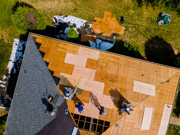 Best Best Roofing Contractors  in Everson, WA