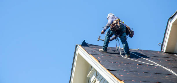 Best Best Roofing Contractors  in Everson, WA